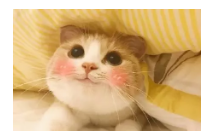 到底什么是保單貼現(xiàn)？